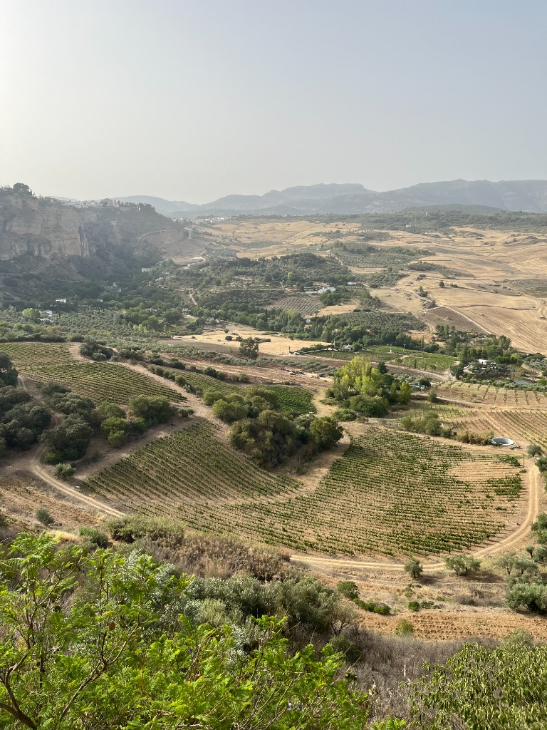 Finca Descalzos Viejos